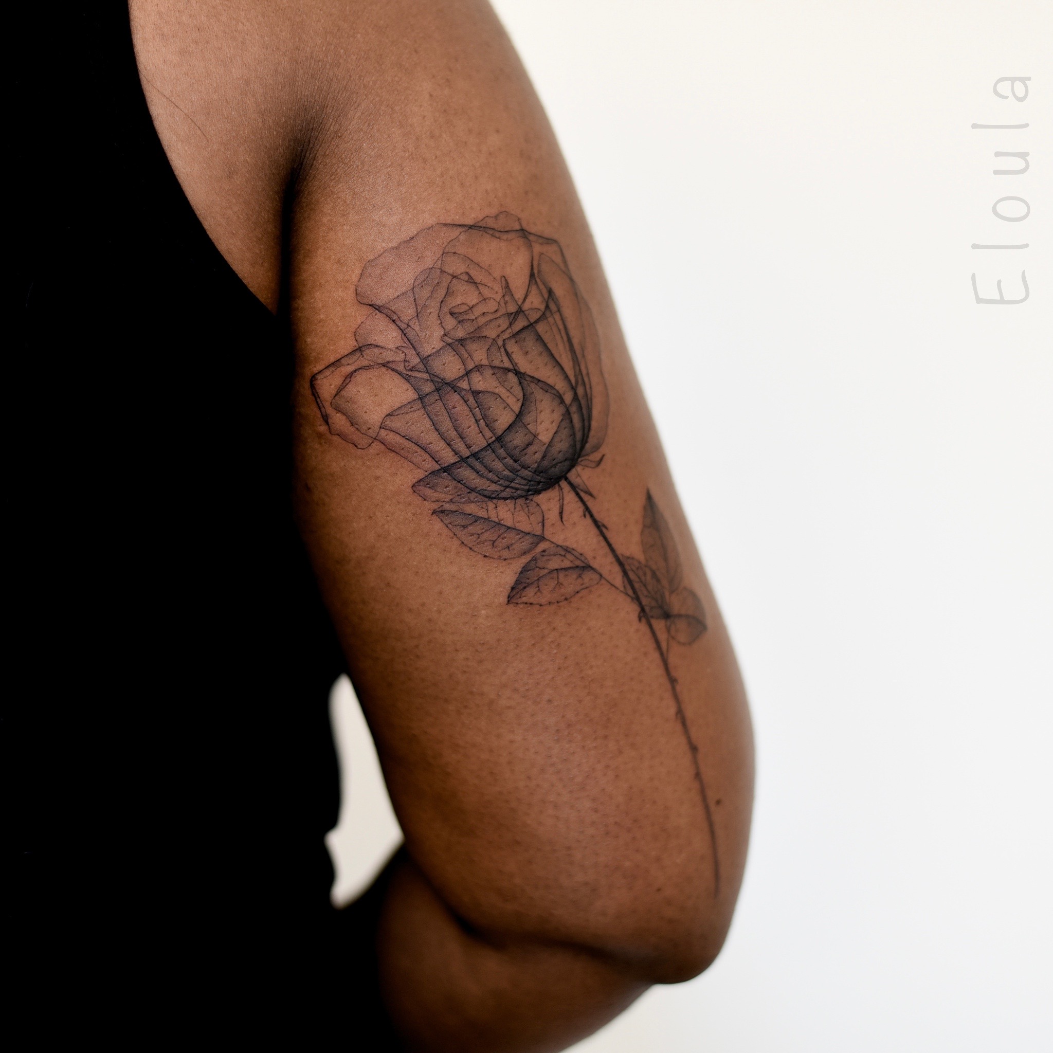 Tattoo d’une rose xray bras femme Angoulême