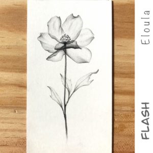 Flash fleur imperturbable