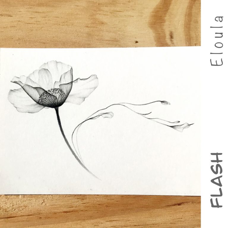 Dessin d’un Flash tattoo fleur X-ray, à angoulême