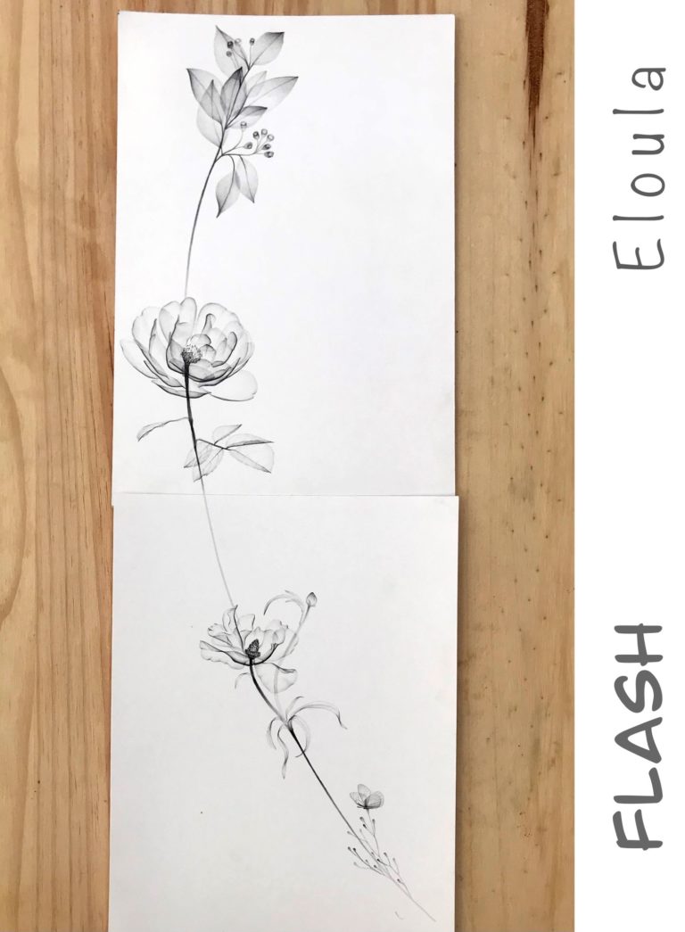 Dessin d’une composition florale avec papillon en XRay, Tattoo Flash Angouleme
