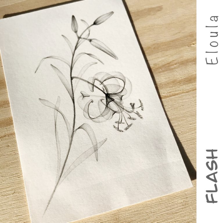 Dessin d’un Flash tattoo fleur de lys X-ray, à angoulême