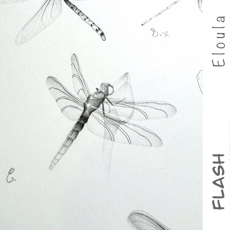 Dessin d’un Flash tattoo libellule X-ray, à angoulême