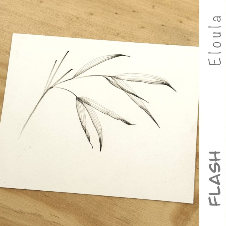 Dessin d’un Flash tattoo de feuilles de bambou X-ray, à angoulême