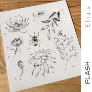 Insectes poisson fleurs et feuilles