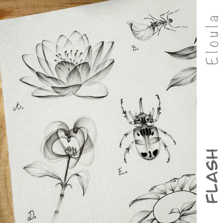 Dessin d’un Flash tattoo en style X-ray, d’une fleur de Nymphéa d’une fourmis, d’un scarabée, d’une fleur de cornouiller à angoulême