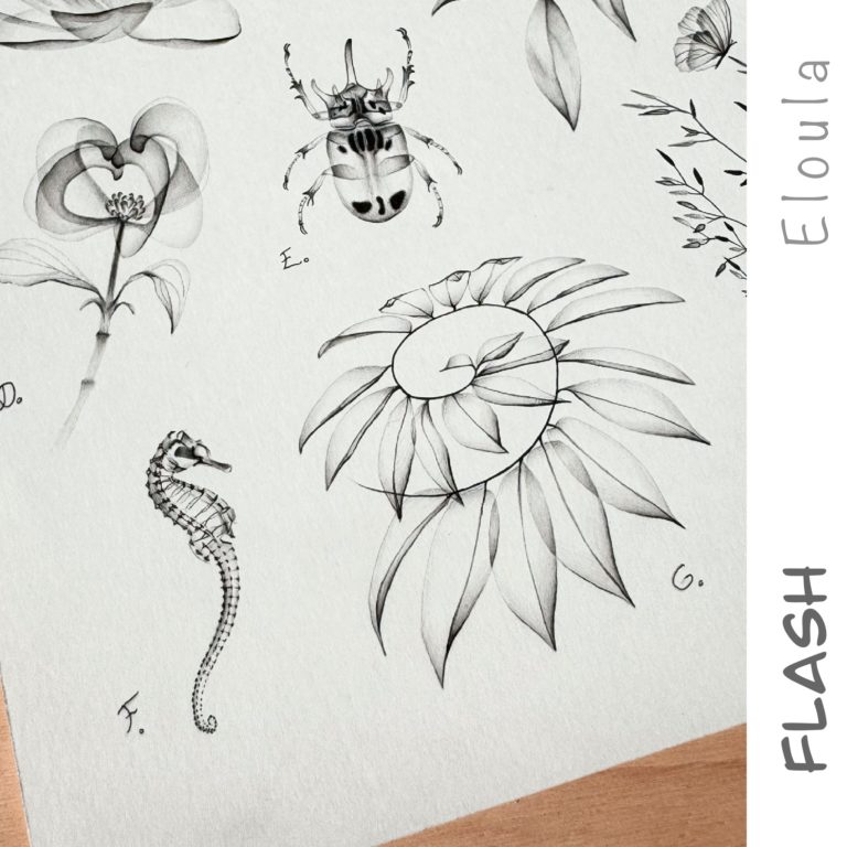 Dessin d’un Flash tattoo en style X-ray, d’un scarabée, d’une fleur de cornouiller, d’un hippocampe, d’une branche d’Hellenia à angoulême