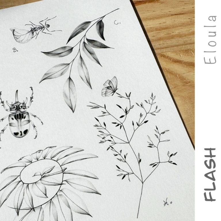Dessin d’un Flash tattoo en style X-ray, d’une fourmis, d’un scarabée, d’une branche d’Hellenia, d’un papillon posé sur une graminée à angoulême