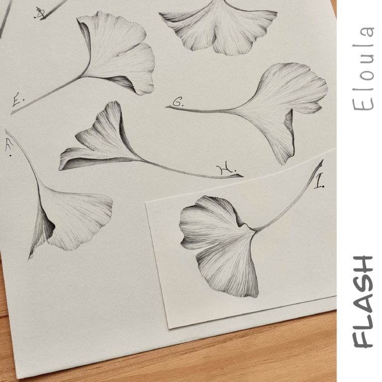 Dessin d’une planche de Flash tattoo de feuilles de ginkgo Biloba en style X-ray, à angoulême
