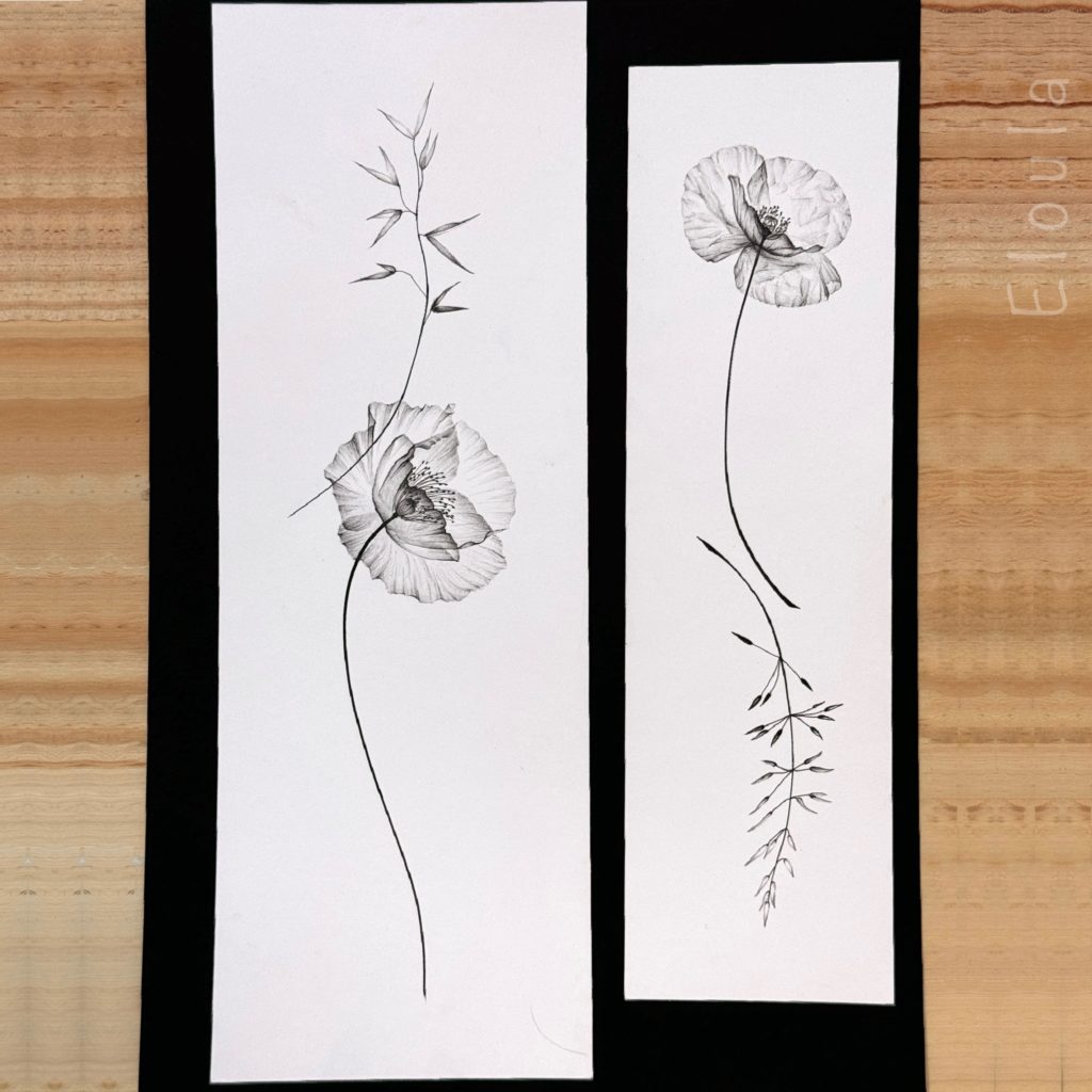 Dessin de Flash tattoo d’une composition florale d’un coquelicot et d’une graminée, en style X-ray, sur un dos à angoulême