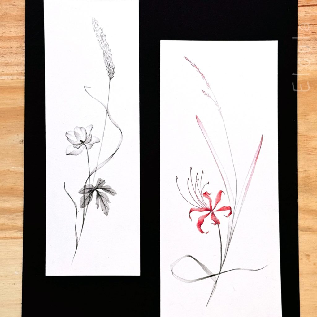 Dessin de Flash tattoo de bouquet ikebana et amaryllis du Japon rouge, Lycoris radiata, Sakura en style X-ray, à angoulême